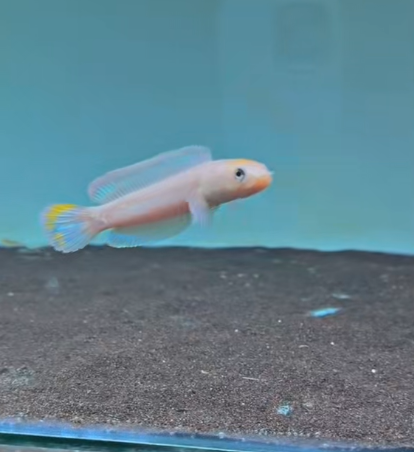 640 1