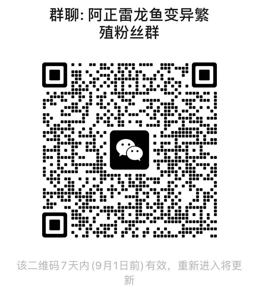 微信图片_20250825091418_18_501.jpg