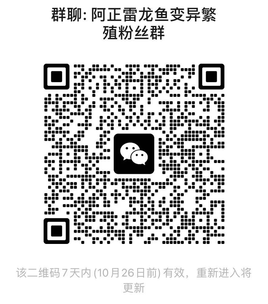 微信图片_20251019165903_49_501.jpg